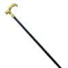 Golden Walking Stick